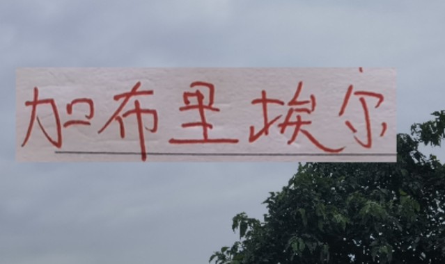 新赛季！海港 申花 北京国安的边锋都是又黑又快的外援